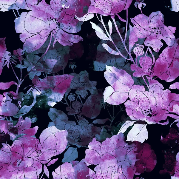 Weide bloemen en kruiden — Stockfoto