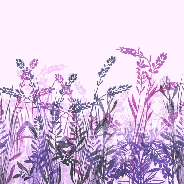 Çiçekler Şifalı Otlar Siluetler Sınırsız Sınırlar Dijital Çizgiler Suluboya Desenli — Stok fotoğraf