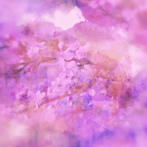 Blühende Kirsche Sakura Fotocollage Und Aquarell Textur — Stockfoto