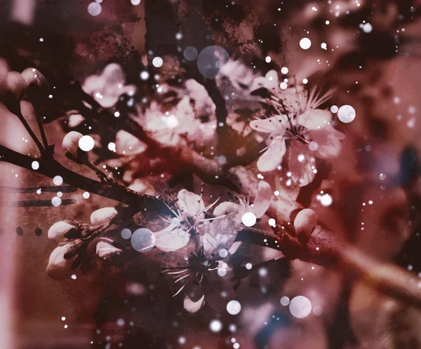 Blooming Cherry Sakura Photo Collage Watercolour Texture — Zdjęcie stockowe