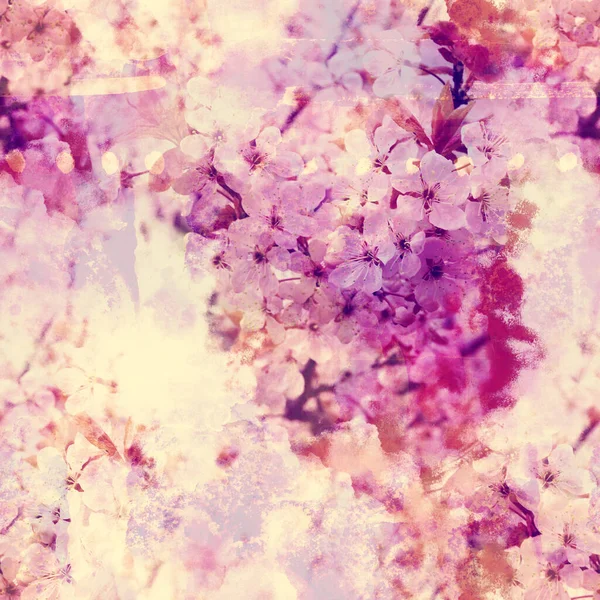 Blooming Cherry Sakura Photo Collage Watercolour Texture Seamless Pattern Mixed — Zdjęcie stockowe