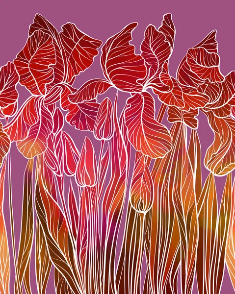 Pradera Iris Silvestres Frontera Sin Fisuras Cuadro Digital Dibujado Mano — Foto de Stock