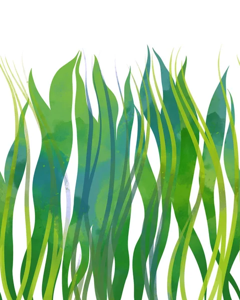 Seaweed Seamless Border Digital Hand Drawn Picture Watercolour Texture Spots —  Fotos de Stock