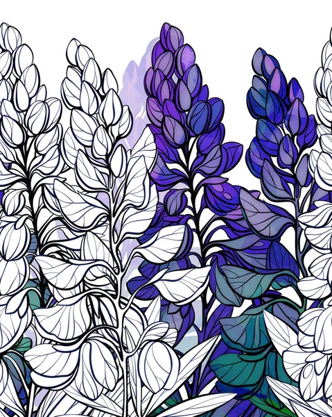 Meadow Wild Blooming Lupins Seamless Border Digital Hand Drawn Picture — Foto de Stock