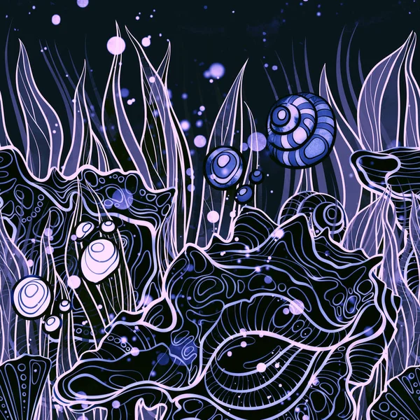 Wodorosty Morskie Muszle Bez Szwu Granicy Cyfrowy Ręczny Rysunek Akwarelową — Zdjęcie stockowe