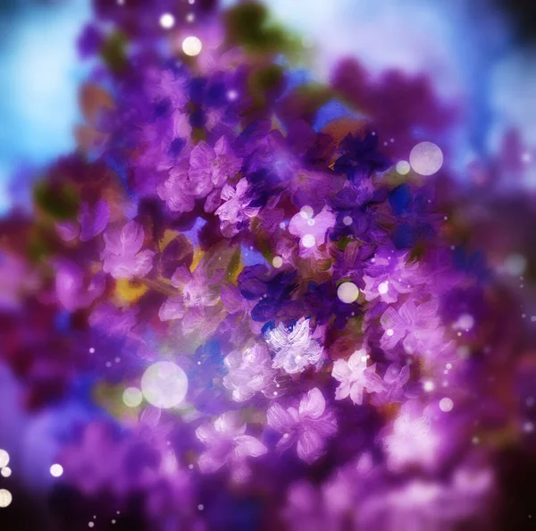 Abstrakt Blommig Bakgrund Blommande Violetta Blommor Blandade Medier Akvarell Och — Stockfoto