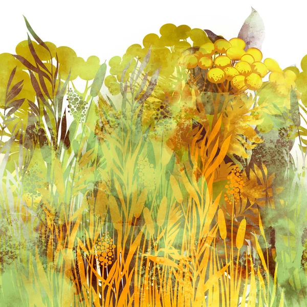 Louka Tráva Květiny Vinobraní Bezešvé Hranice Digitální Obrázek Akvarelovou Texturou — Stock fotografie