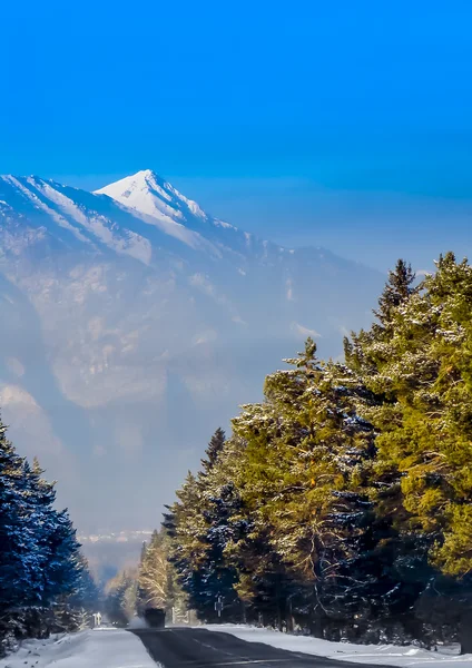 Siberia, Rosja — Zdjęcie stockowe