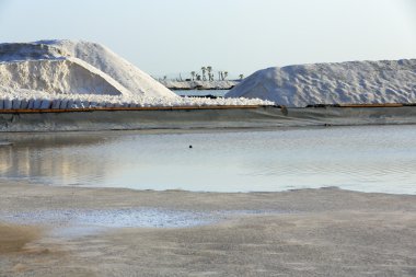 Tuzlu Höyük-su buharlaşma havuzları. Lake Afrera-Etiyopya. 0159