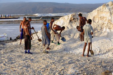 Men at work. Lake Afrera Salt Works-Danakil-Ethiopia. 0152 clipart