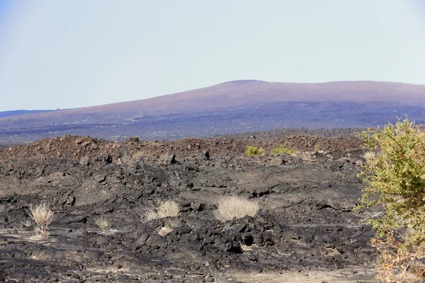 Paesaggio roccioso vulcanico nel deserto Danakil-Etiopia. 0195 — Foto Stock