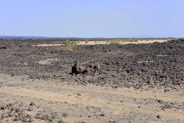 Paesaggio vulcanico nel deserto Danakil-Etiopia. 0192 — Foto Stock