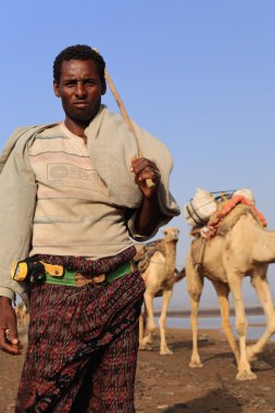 Afar güder bir deve karavan lider... Danakil-Etiyopya. 0255