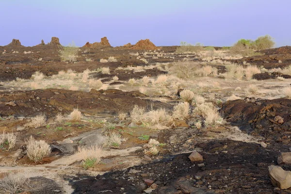 Paesaggio roccioso vulcanico nella depressione Danakil-Etiopia. 0247 — Foto Stock