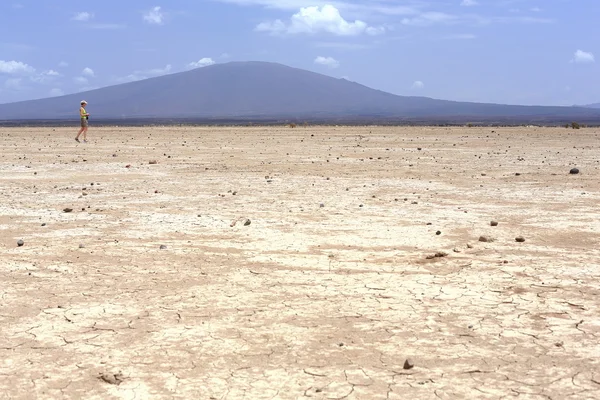 Woestijnlandschap in de Danakil depressie-Ethiopië. 0187 — Stockfoto