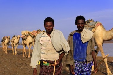 Afar çobanları bir deve karavan lider. Danakil-Etiyopya. 0256