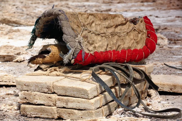 Des piles de dalles amole-sel prêtes à être chargées. Danakil-Ethiopie. 0352 — Photo