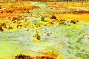 Dallol dağı tuz düzlükler üzerinde 50-60 ms.yükseliyor. Danakil-Etiyopya. 0334
