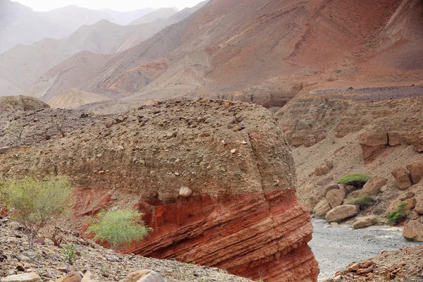 Red cliffs over dry riverbed. Danakil-Ethiopia. 0366 — Stock Photo, Image