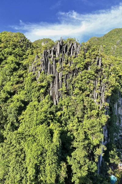 Vápencové Jehličí Vyčnívající Bujné Vegetace Deštného Pralesa Pokrývající Krasovou Reliéf — Stock fotografie