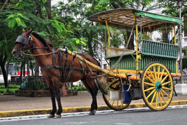 At, Katedral 'in kapısındaki Sto.Tomas Street-Plaza de Roma Meydanı' nda durup Intramuros Duvarlı İç Kent bölgesini ziyaret eden yolcuları bekledi. Manila-Filipinler.