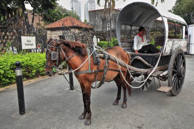 Manila, Filipinler-24 Ekim 2016: Intramuros-Walled Inner City bölgesini ziyaret eden yolcuları beklerken Fort Santiago kalesinin yanındaki Sta.Clara Caddesi 'nde atlar çekildi..