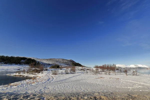 Roksofjorden Στο Νησί Hinnoya Λεπτά Φύλλα Πάγου Επιπλέουν Άποψη Litleoya — Φωτογραφία Αρχείου