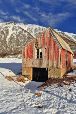 Hinnoya adasındaki Risoysundet boğazında Buksnesfjellet Dağı 'nın eteklerinde kırmızı boyalı eski harabe bir tekne. Andoya adasına bakan W. Vesteralen-Nordland fylke-Norway' e bakıyor.