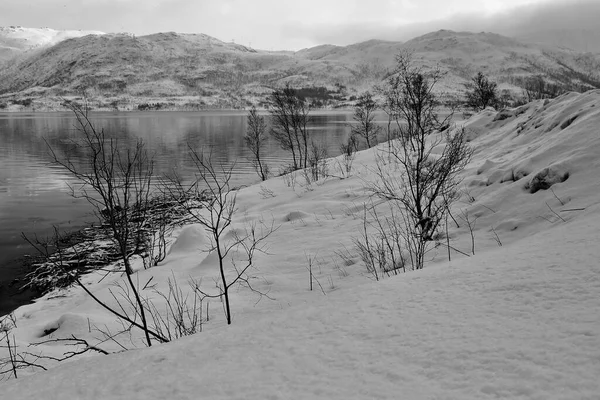 Lobergsbukta Bay Près Gullesfjordbotn Bottom Sur Side Gullesfjorden Tverrbakktinden Hundnesheia — Photo