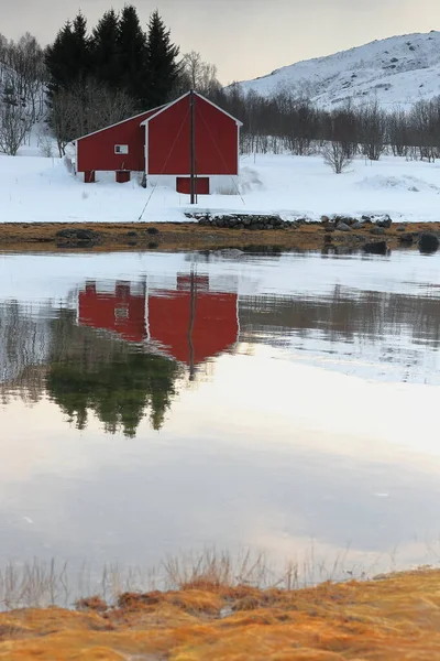 Sea houses-boat sheds in Vestpolloya island of Austnesfjorden reflected on the water. Vestpollen village-Nordlia and Slettlia mounts background. Central Austvagoya island-Lofoten-Nordland fylke-Norway