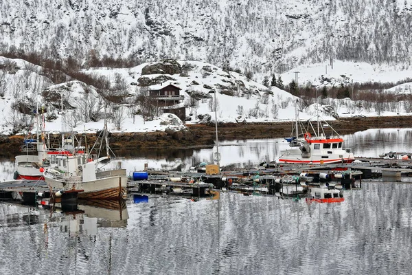渔船停泊在Sildpolltjonna入口的浮桥港口 海岸Sildpollnes半岛木屋和船屋 Kistbergtinden女士的背景 Austnesfjorden Austvagoya Lofoten Norway — 图库照片