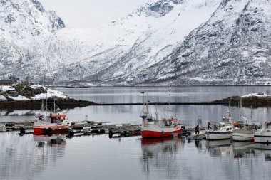Sildpollnes yarımadasının yüzen duba-Sildpolljonna körfez-S.shore 'una demirlemiş balıkçı tekneleri. Kroktindan-Durmalsfjellet 'in arka planı. Vagan kommune-Austnesfjorden-Austvagoya-Lofoten-Nordland-Norveç