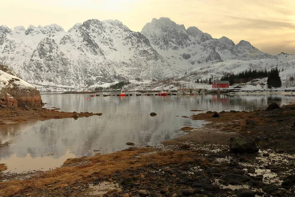 Cove Sildpolltjonna Bay Shore Sildpollnes Peninsula Fishingboats Moored Floating Pontoon — 스톡 사진