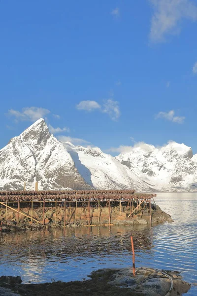 在寒冷的冬季空气中 鸡头挂在A形的木制烘干机上 变成了乌贼 以Vorfjorden周围的山为背景 Rundkulten Sakrisoya Island Reine Moskenes Lofoten — 图库照片