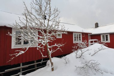 Reine kasabası yakınlarındaki Hamnoy köyünde bir zamanlar geleneksel balıkçı kulübelerinin üzerine şiddetli kar yağışı vardı. Moskenesoya-Lofoten-Nordland fylke-Norveç.