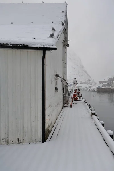 Vita Hamnmagasinet Gjort Träplankor Däck Fiskehamnen Piren Side Måsar Uppflugna — Stockfoto