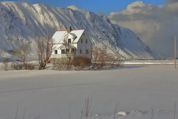 Cabanes Pêche Blanches Rouge Chalet Bouleaux Rorbuer Duveteux Autour Neige — Photo