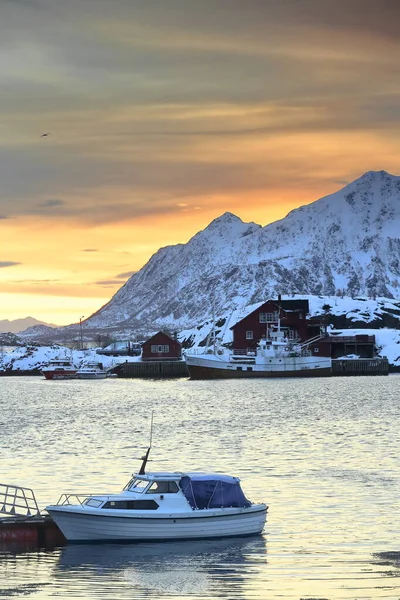 Lofoten Rorbuer Süitlerinin Arka Plandaki Liman Litlmolla Adasına Demirlemiş Svolvaer — Stok fotoğraf