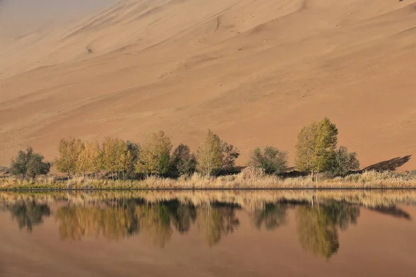 Sumu Jaran Lake Nyugati Megadune Tóparti Fái Tükröződtek Kiszáradt Sárga Stock Fotó