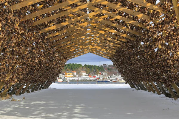 Ahşap A-çerçeve rafları ya da balık olmak için hava kurutma asarken birbirine bağlanmış morina balıklarından yapılmış hjelller. Laukvik balıkçı köyü ve tekneleri Austvagoya-Lofoten-Nordland-Norveç.