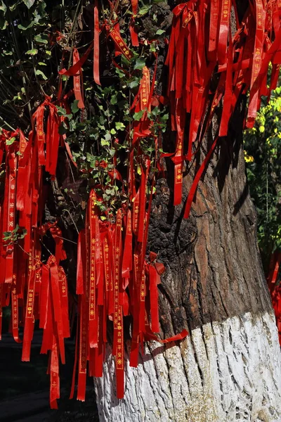 Tying red ribbons to wishing trees at the entrance to Chinese Buddhist Temples will make wishes come true-red symbolizes good luck and joy. Dafo Si Great Buddha Temple-Zhangye-Gansu province-China.