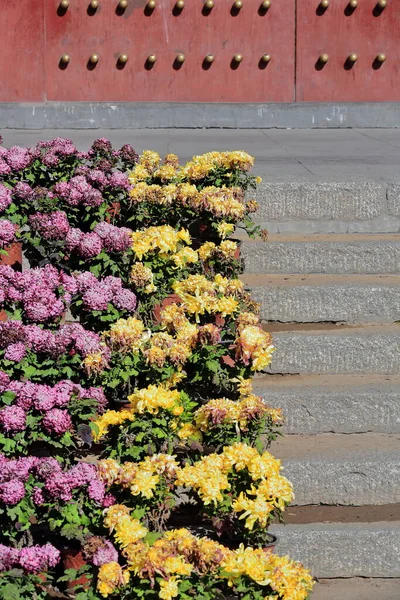 Carpet Flowers Steps Leading South Entrance Gate Ganquan Park North — Stock Photo, Image