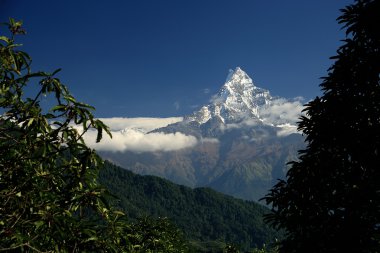 Mt.Machapuchare Himalayalar-Nepal. 0544