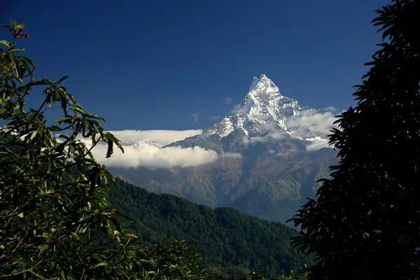 Mt.Machapuchare in de Himalaya-Nepal. 0544 — Stockfoto