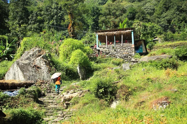 Sten trappa upp till ghandruk-nepal. 0591 — Stockfoto