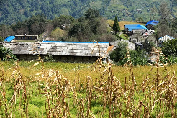 Häuser von ghandruk village-nepal. 0602 — Stockfoto