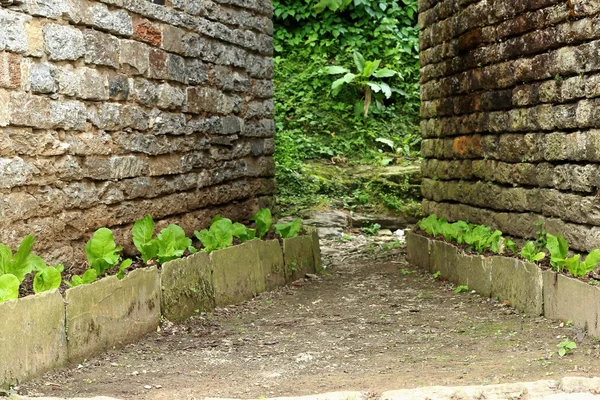 缩小了两座石头建筑之间。Ghandruk-Nepal。0606 — 图库照片