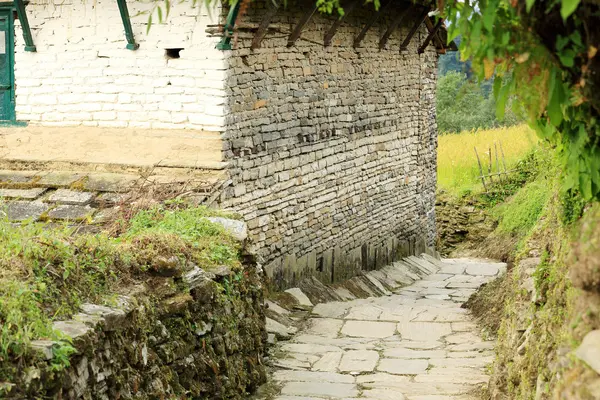 Strada lastricata di pietra. Ghandruk-Nepal. 0613 — Foto Stock