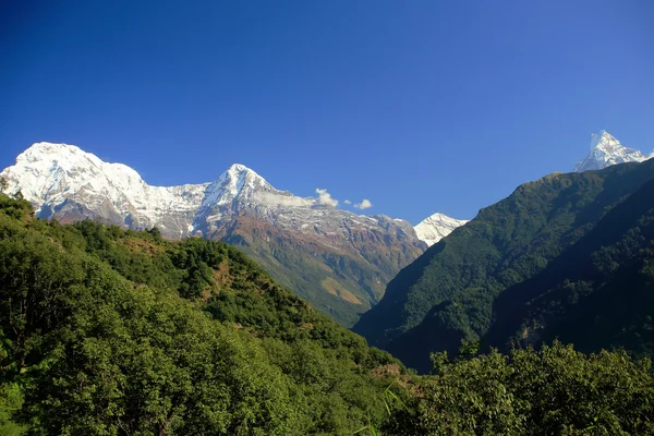 Mts.Annapurna syd-Hiun Chuli-Gangapurna-Machapuchare. Kaski distrikt-Nepal. 0645 — Stockfoto