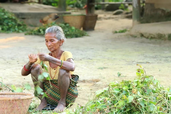 Old woman of the Tharu people. Patihani-Nepal. 0785 — Stock Photo, Image